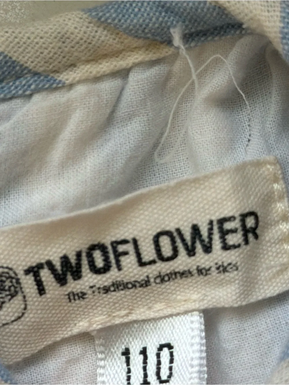 Two flower soft blue